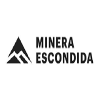 logo escondida